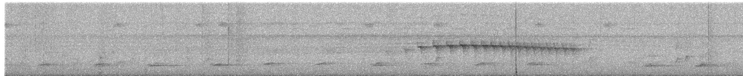 Dot-winged Antwren - ML634368192