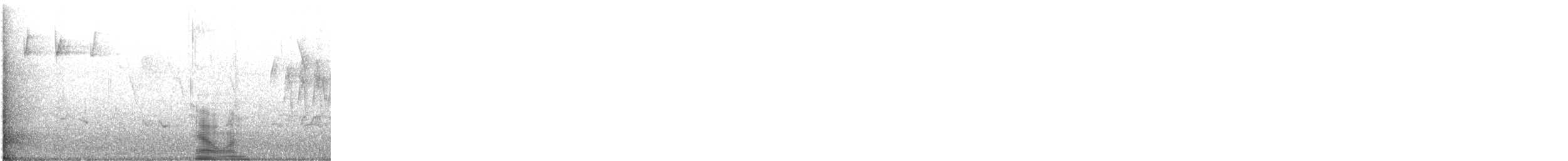 Blackpoll Warbler - ML634368245