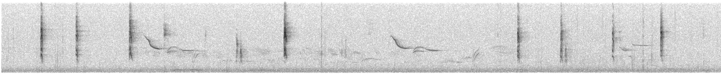 Wilson's Warbler - ML634373034
