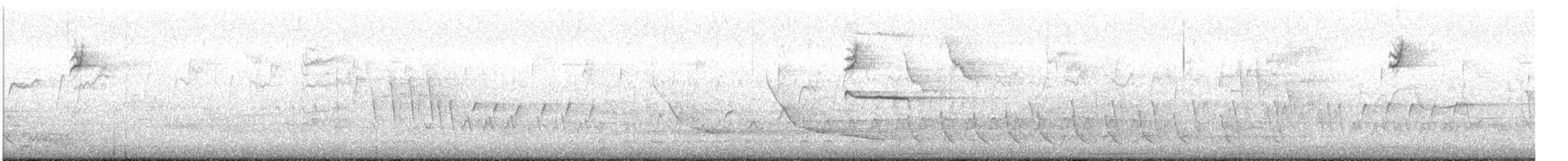 strnadec bělopásý (ssp. gambelii) - ML634377107