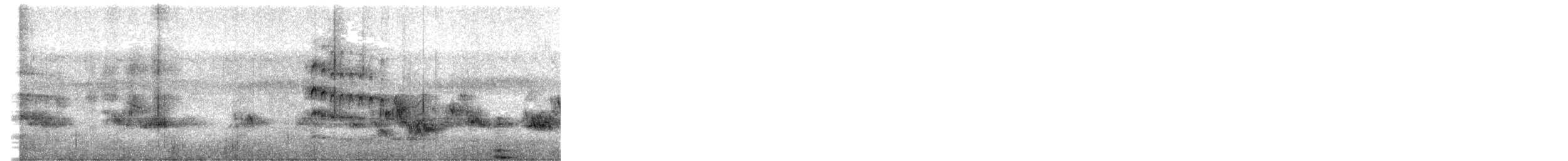 White-naped Woodpecker - ML634377476