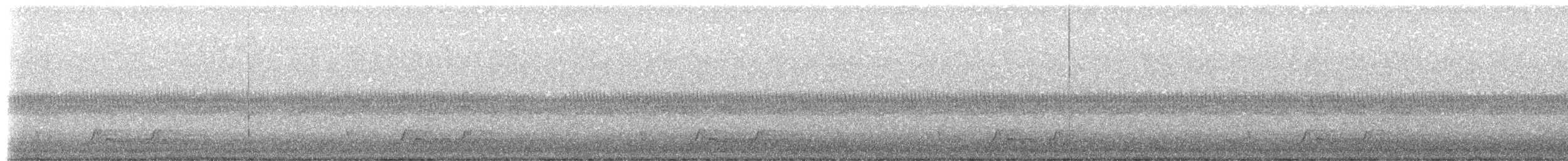 Chuck-will's-widow - ML634379330