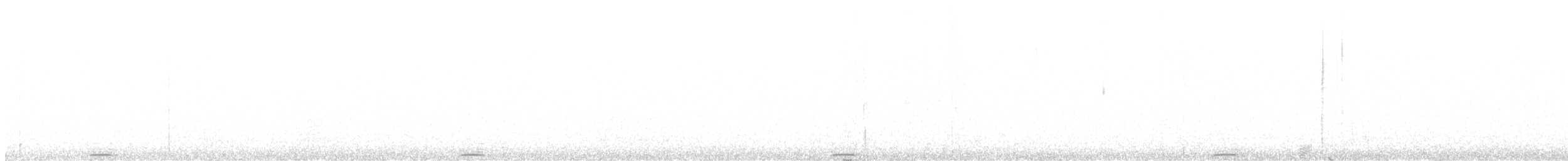 アメリカコノハズク - ML634386698
