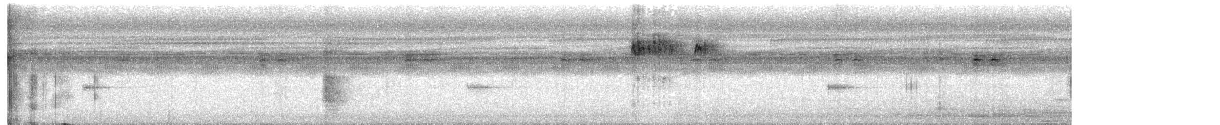 Golden-crowned Spadebill - ML634387414