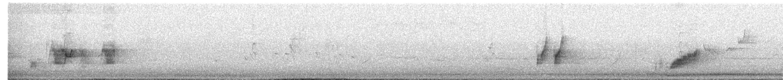 Restless Flycatcher - ML634394126