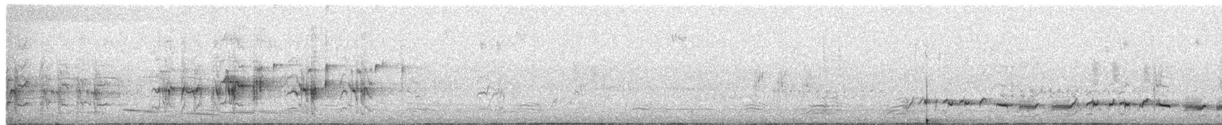 Red-winged Parrot - ML634395776