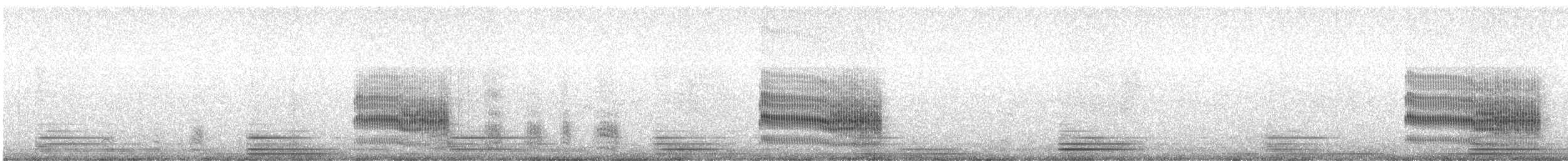 Sterna comune - ML634396145