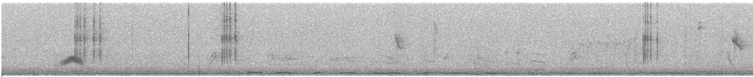 Cassin's Kingbird - ML634397456