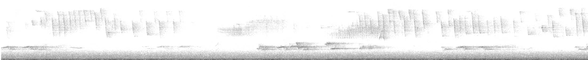 Tennessee Warbler - ML634399306