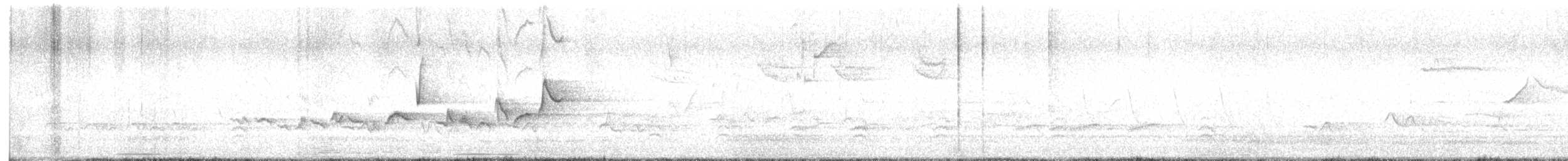 Warbling Vireo - ML634401367