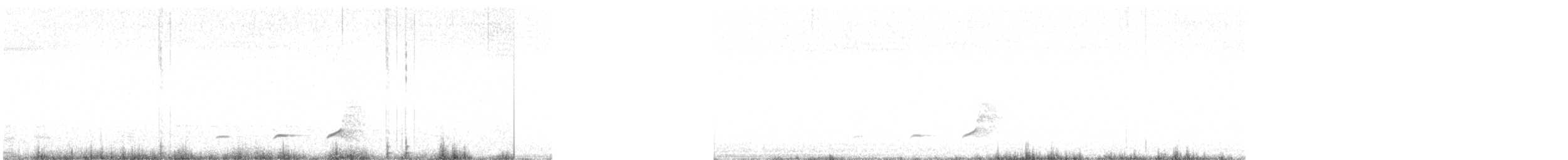 Spot-bellied Bobwhite - ML634406799