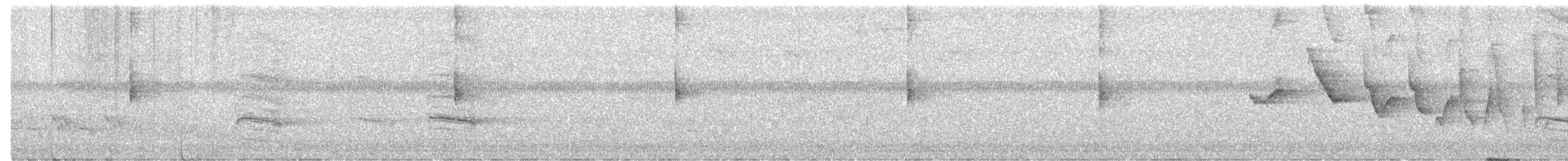 Louisiana Waterthrush - ML634409019