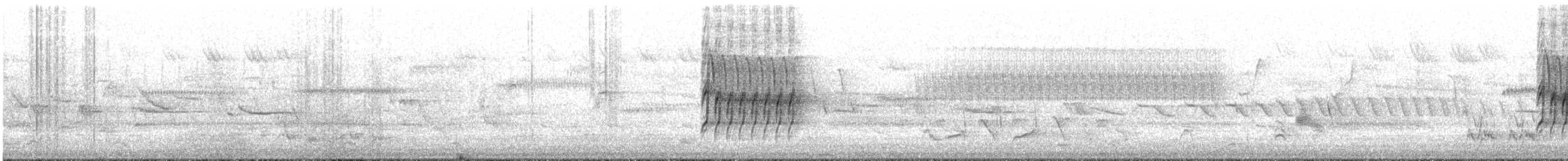 Chipping Sparrow - ML634411201