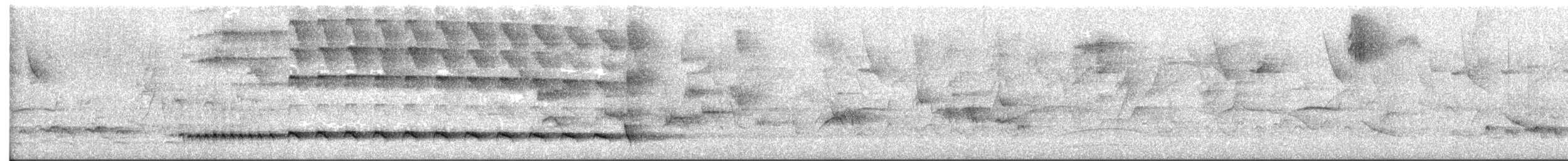 Giant Antshrike - ML634415694