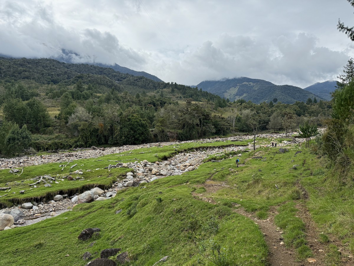 null - ML634418703