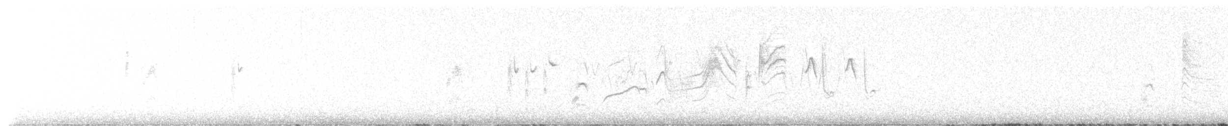 Blue-gray Gnatcatcher - ML634418913