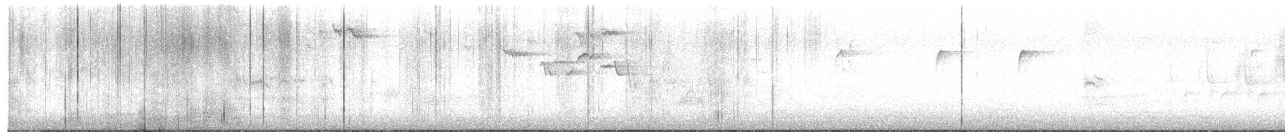 Amerikabaumläufer - ML634419194