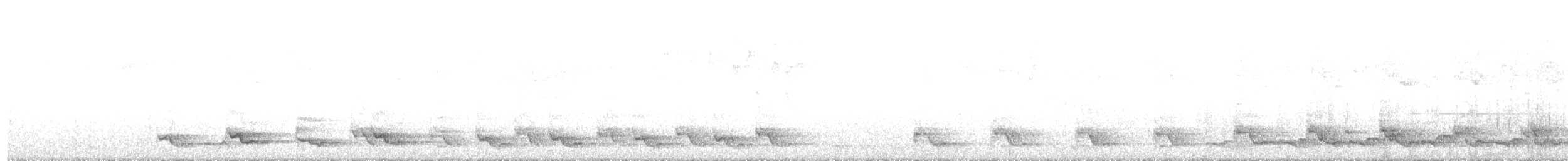 Kara Göğüslü Tokro - ML634430648