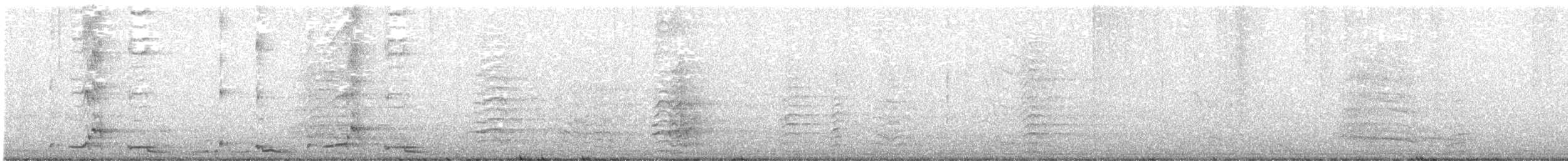 Silver-backed Butcherbird - ML634434538