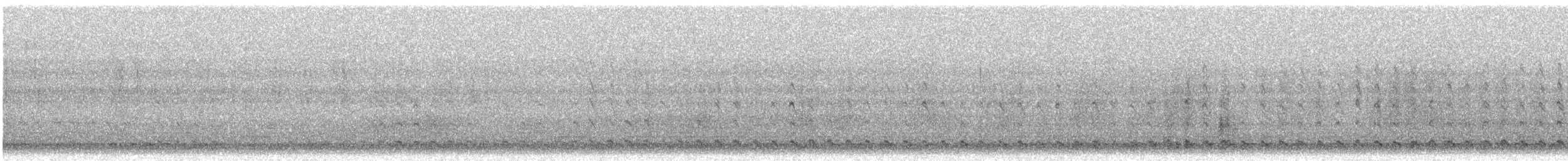Качка sp. - ML634441341