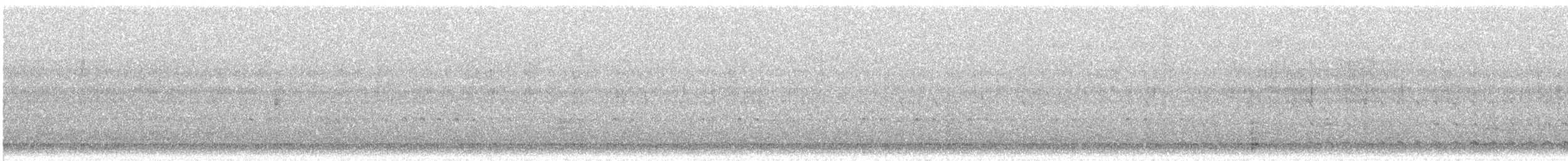 Качка sp. - ML634441342
