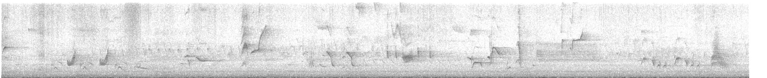 Brown Thrasher - ML634442944