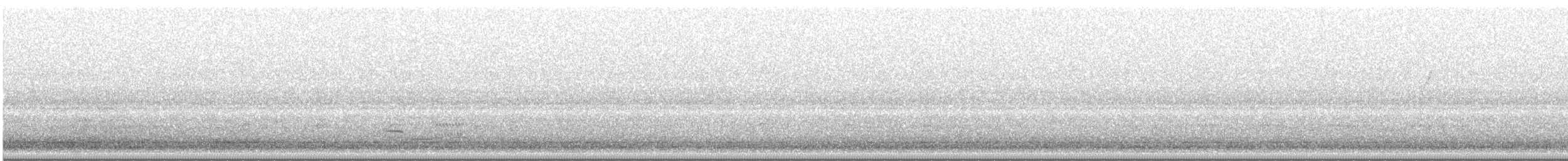 Wood Thrush - ML634443005