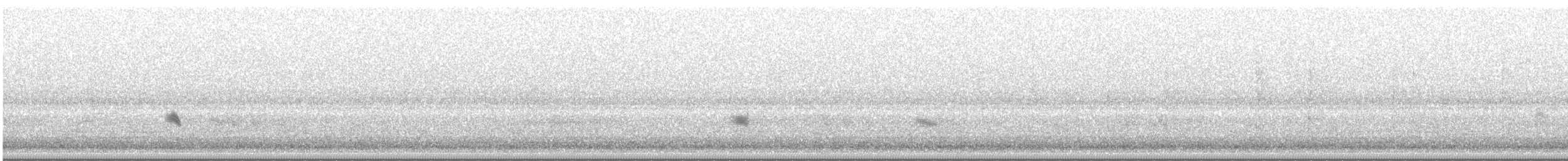 Wood Thrush - ML634443006