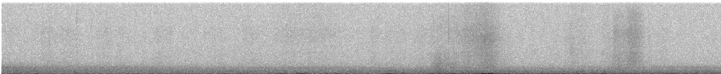 アメリカコノハズク - ML634446826