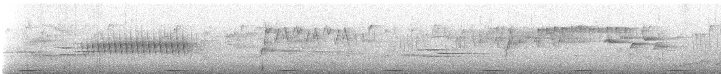 Phasianelle onchall - ML634448518