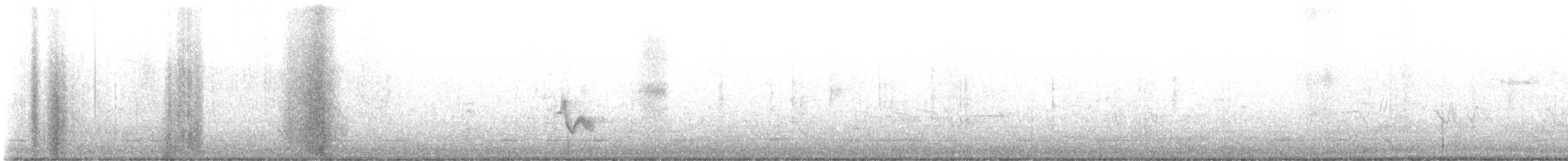 Cassin's Vireo - ML634450240