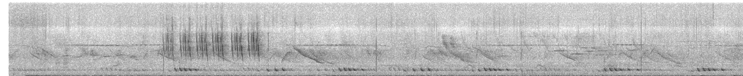 Striped Prinia - ML634451226