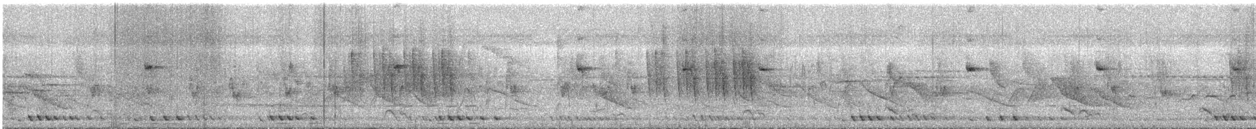 Striped Prinia - ML634451349