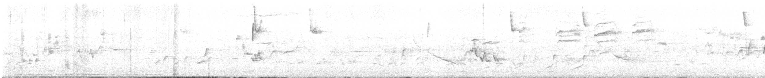 Northern Waterthrush - ML634464719