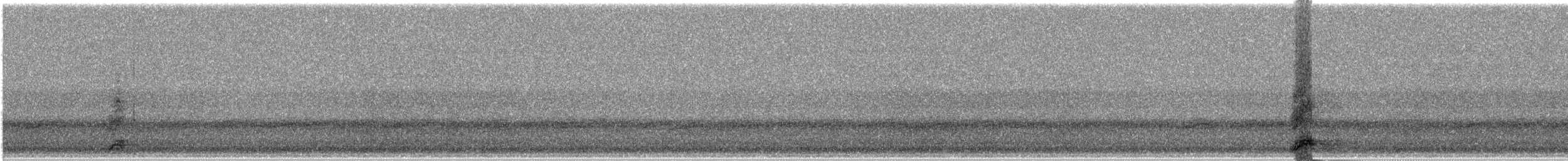 Bihoreau gris - ML634465903