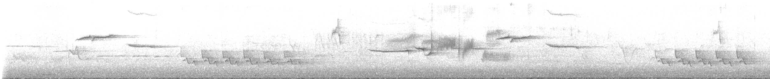 strnadec bělopásý - ML634467126