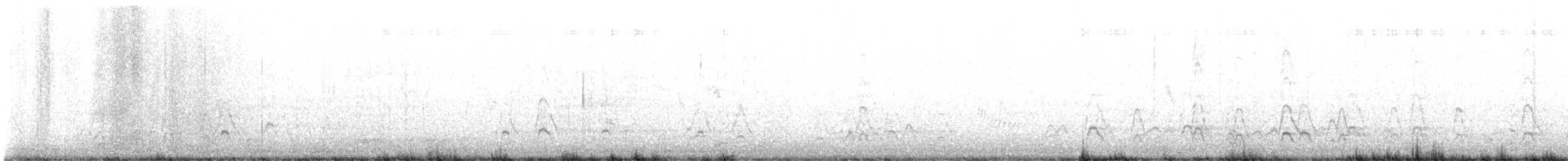 Canard d'Amérique - ML634473587