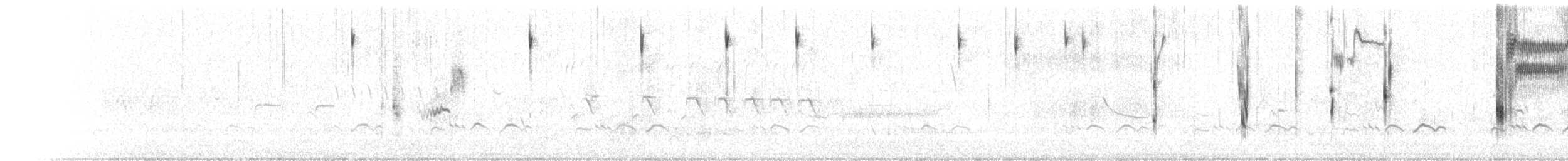 Saltmarsh Sparrow - ML634479037