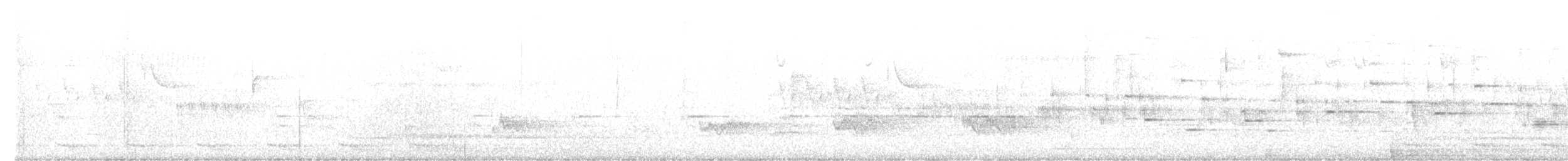 メキシコキヌバネドリ - ML634481032
