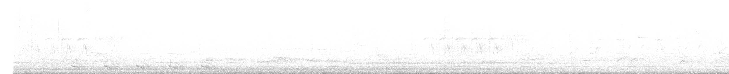 メキシコキヌバネドリ - ML634481033