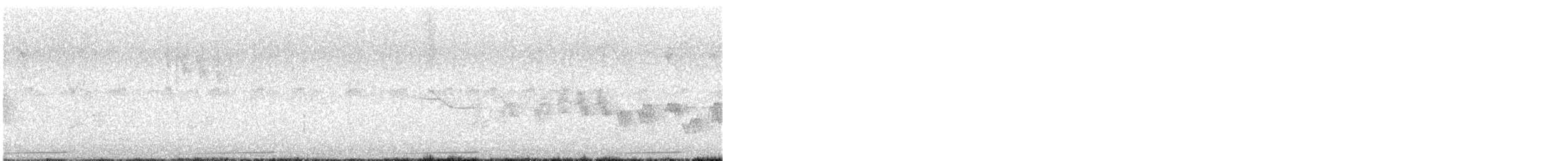 spurvedue - ML634483806