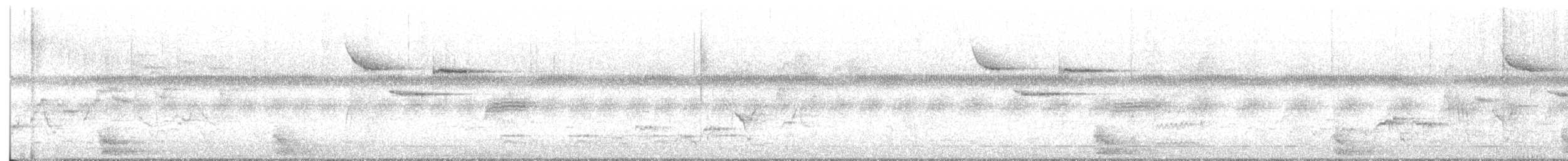 Carolina Chickadee - ML634484496