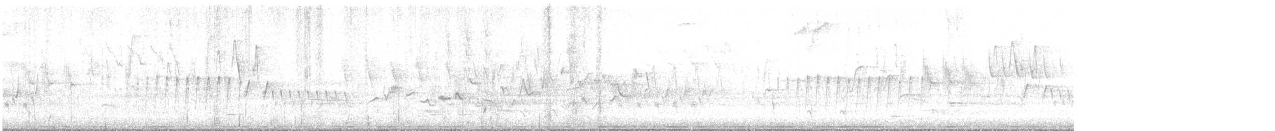 Eastern/Western Warbling Vireo - ML634496171