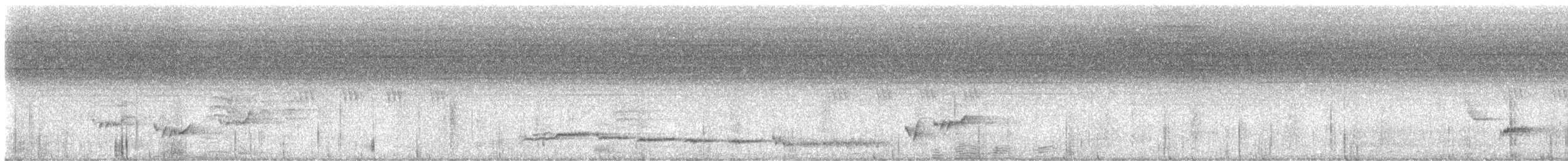 White-browed Shama - ML634510398