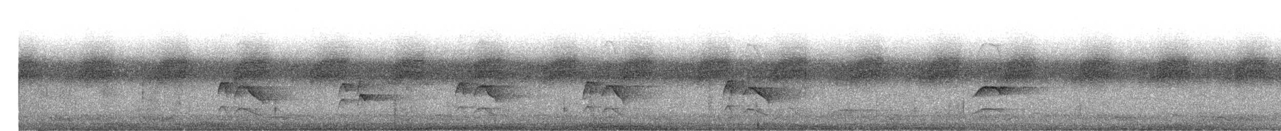 askedrongo - ML634511163