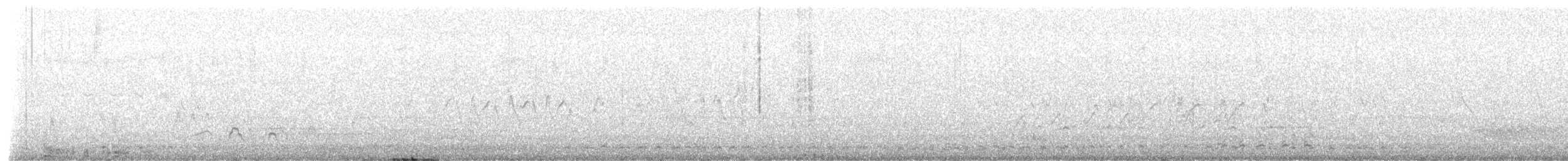 Чирянка мала (підвид carolinensis) - ML634515005