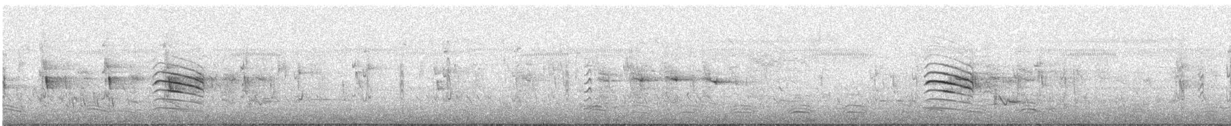 カノコスズメ - ML634516283