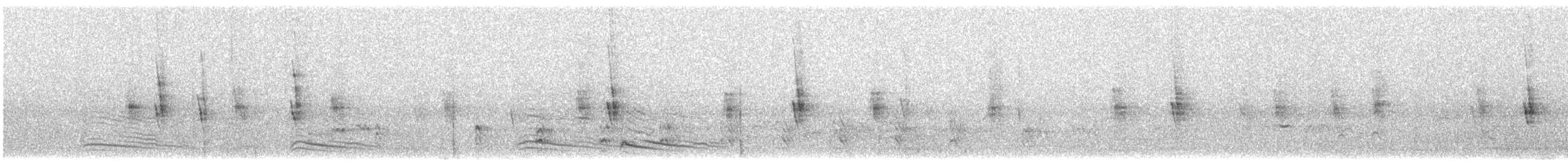 Gray Go-away-bird - ML634519928