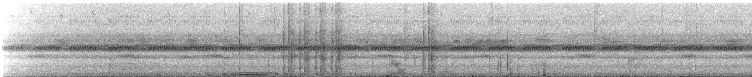 Chouette leptogramme - ML634520231