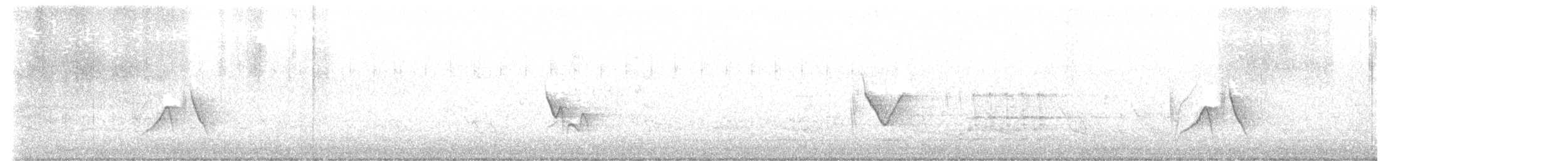 Vireo Solitario - ML634524212